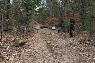 0 Linderman Rd, Holton, MI 49425 - Photo 1