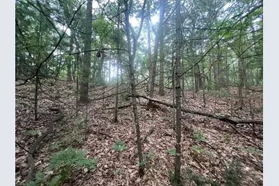 V/L A Lenox Ave, Pentwater, MI 49449 - Photo 1