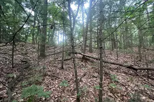 V/L A Lenox Ave, Pentwater, MI 49449 - Photo 1