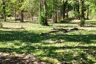 10157 Jericho Rd, Bridgman, MI 49106 - Photo 11