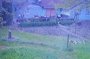 10157 Jericho Rd, Bridgman, MI 49106 - Photo 9