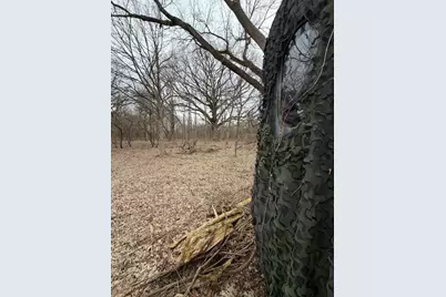 Vl Harper Road, Holt, MI 48842 - Photo 23