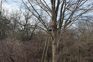 Vl Harper Rd, Holt, MI 48842 - Photo 1