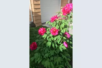 2437 Burns Avenue, Ypsilanti, MI 48197 - Photo 33