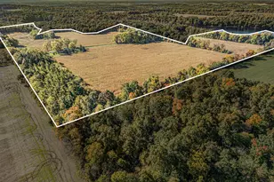 67291 Robbins Lake Rd, Jones, MI 49061 - Photo 3