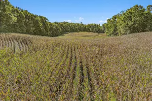 67291 Robbins Lake Rd, Jones, MI 49061 - Photo 45