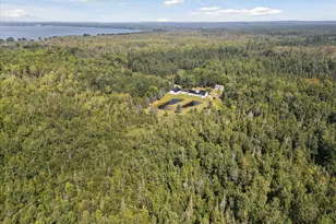 3441 Townline Rd, Houghton Lake, MI 48629 - Photo 51