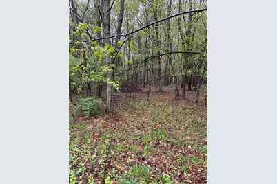 Lot 2 Christopher Lane, South Haven, MI 49090 - Photo 3