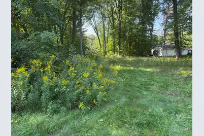 Vl Carol Street, Newaygo, MI 49337 - Photo 3