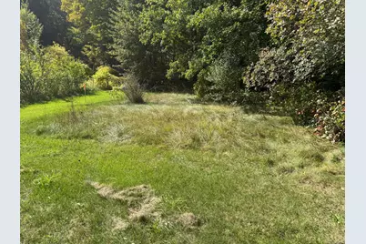 Vl Carol Street, Newaygo, MI 49337 - Photo 3