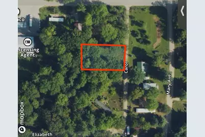 Vl Carol Street, Newaygo, MI 49337 - Photo 7