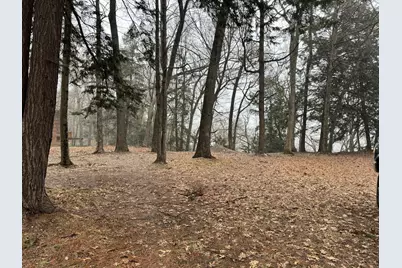 V/L S Teal Lane, Newaygo, MI 49337 - Photo 3