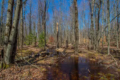 3069 E Monroe Street, White Cloud, MI 49349 - Photo 13