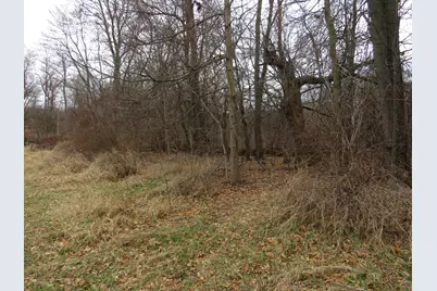 Vl Fenner Road, Laingsburg, MI 48848 - Photo 21