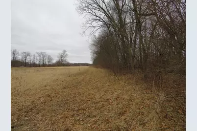 Vl Fenner Road, Laingsburg, MI 48848 - Photo 23