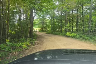 18965 N Coates Hwy, Brethren, MI 49619 - Photo 31