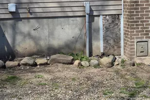 1024 23 Mile Rd, Homer, MI 49245 - Photo 19