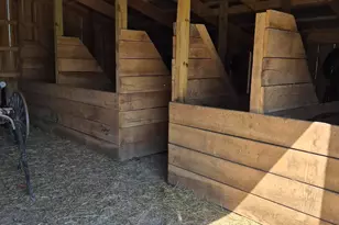 1024 23 Mile Rd, Homer, MI 49245 - Photo 11