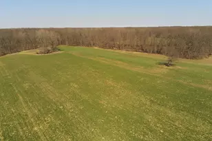 1024 23 Mile Rd, Homer, MI 49245 - Photo 39