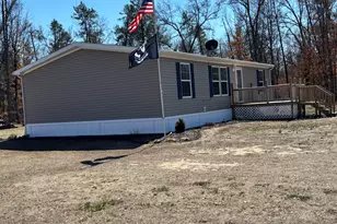 3114 S James Rd, Baldwin, MI 49304 - Photo 1