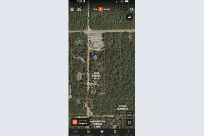 3114 S James Road, Baldwin, MI 49304 - Photo 27