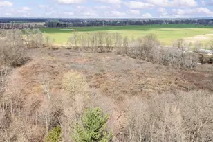 55796 92nd Ave, Dowagiac, MI 49047 - Photo 59