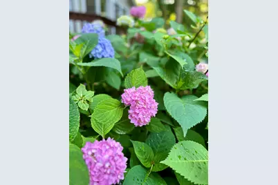 3841 Summit View Drive NE, Grand Rapids, MI 49525 - Photo 45