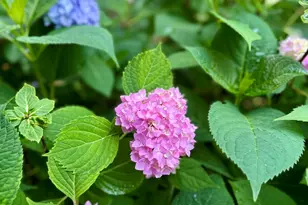 3841 Summit View Dr NE, Grand Rapids, MI 49525 - Photo 45