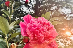 3841 Summit View Dr NE, Grand Rapids, MI 49525 - Photo 47