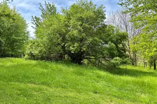 1652 Olive Branch Rd, Galien, MI 49113 - Photo 29