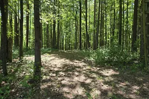 3371 Noble Rd, Oxford, MI 48370 - Photo 23