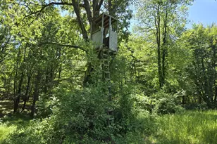 3371 Noble Rd, Oxford, MI 48370 - Photo 21