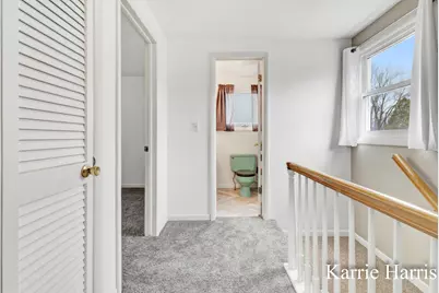 910 E Evergreen Street, Greenville, MI 48838 - Photo 37