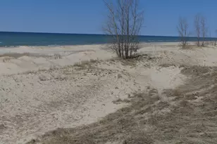 313 S Stone Church, Shelby, MI 49455 - Photo 17