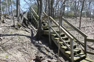 313 S Stone Church, Shelby, MI 49455 - Photo 11