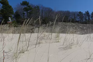 313 S Stone Church, Shelby, MI 49455 - Photo 19