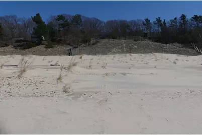 313 S Stone Church, Shelby, MI 49455 - Photo 23