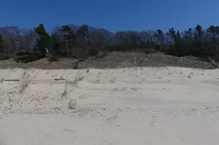 313 S Stone Church, Shelby, MI 49455 - Photo 23