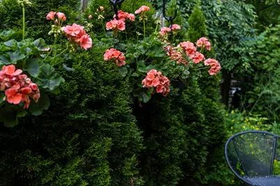 300 3rd Street, Ann Arbor, MI 48103 - Photo 63