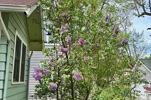 1441 White St, Ann Arbor, MI 48104 - Photo 25