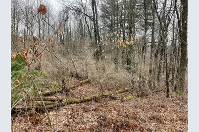 Vl E Alpine, Luther, MI 49656 - Photo 11