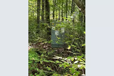 Vl E Alpine, Luther, MI 49656 - Photo 9