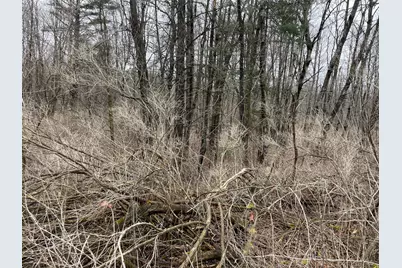 Vl E Alpine, Luther, MI 49656 - Photo 13