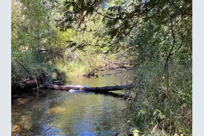 Vl E Alpine, Luther, MI 49656 - Photo 1