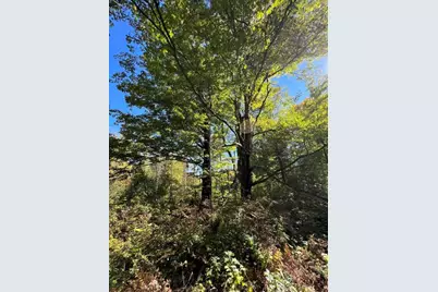 Vl E Alpine, Luther, MI 49656 - Photo 7