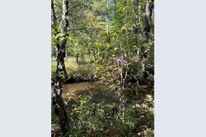 Vl E Alpine, Luther, MI 49656 - Photo 5