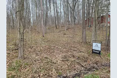 V/L 45 E Peterson Drive, Gobles, MI 49055 - Photo 1