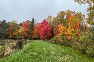 14321 N Chestnut Ave, Reed City, MI 49677 - Photo 19