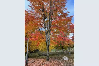 14321 N Chestnut Avenue, Reed City, MI 49677 - Photo 17