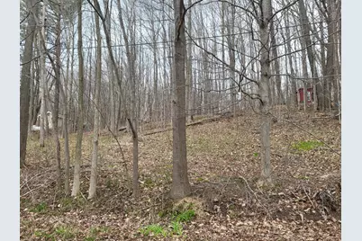 V/L 46 E Peterson, Gobles, MI 49055 - Photo 1